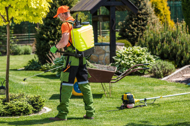 Best Lawn Pest Control  in Westmere, NY